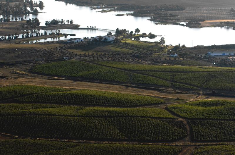| Import Weinregion ist Alentejo O Vinho in Portugal Portugal bekannt